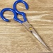 Anvil Ultimate straight scissors