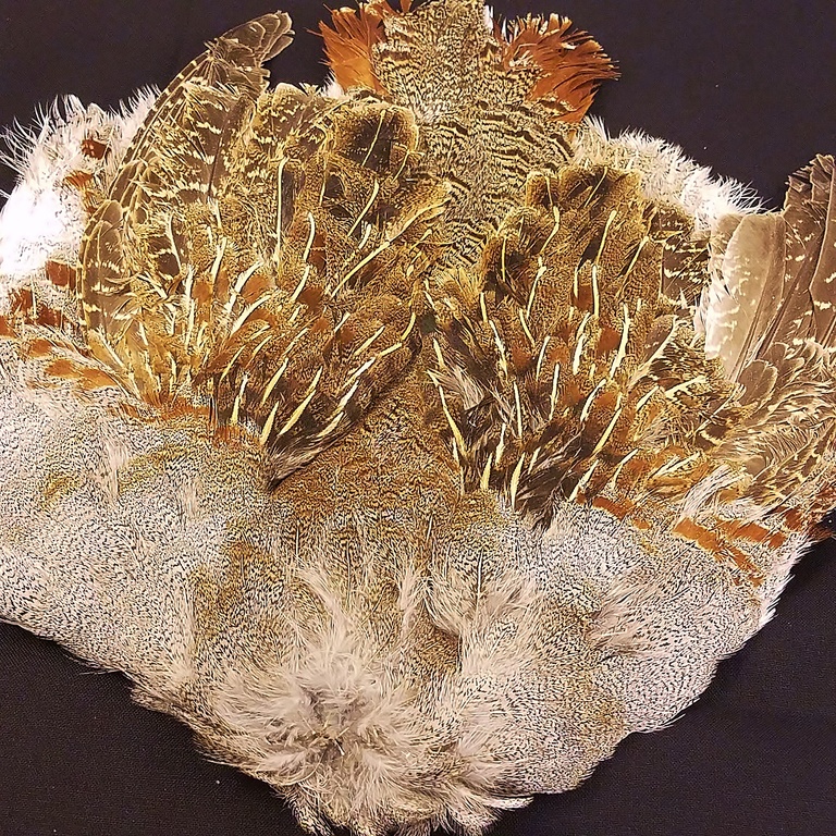 Hungarian Partridge skin #1 narutal