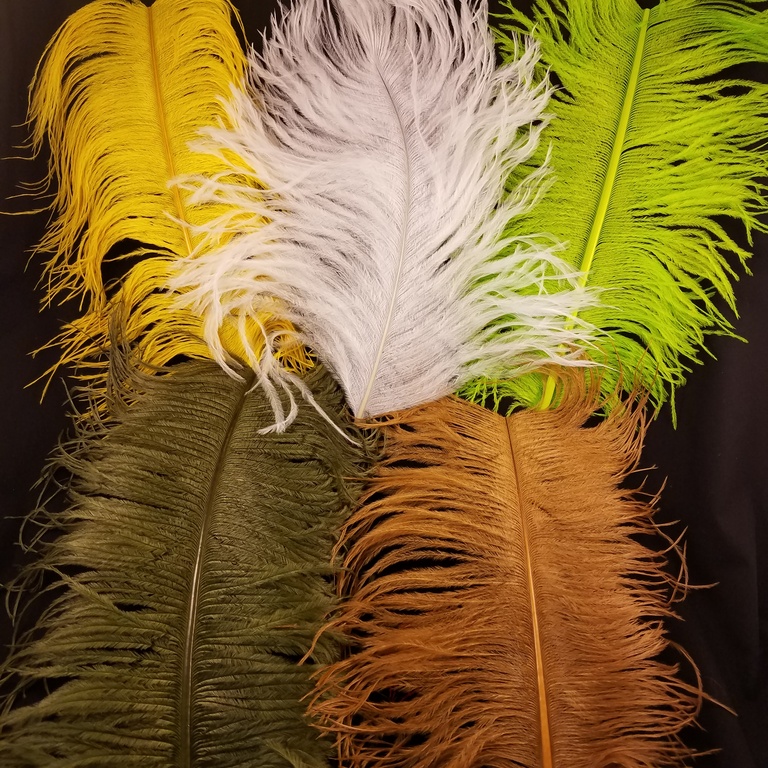 Ostrich Plume large