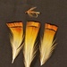 Natural golden pheasant tippets