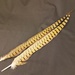 Ringneck pheasant tails