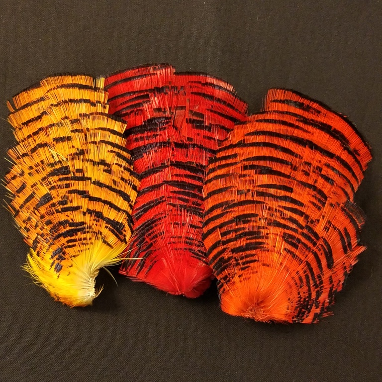 dyed golden pheasant tippets